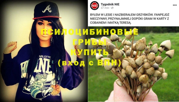 ALPHA-PVP Володарск