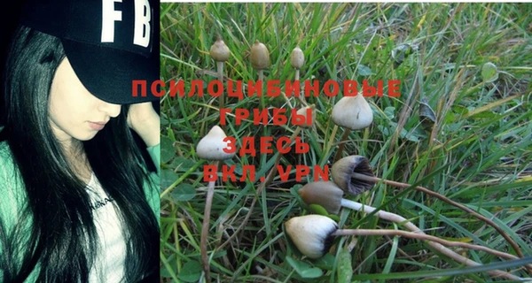 индика Верхнеуральск